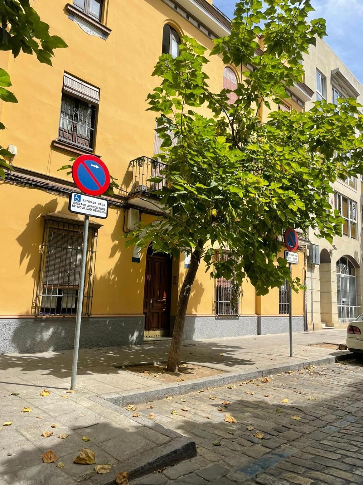 Apartamento Entero En Los Jardines De Murillo Sevilla Bagian luar foto